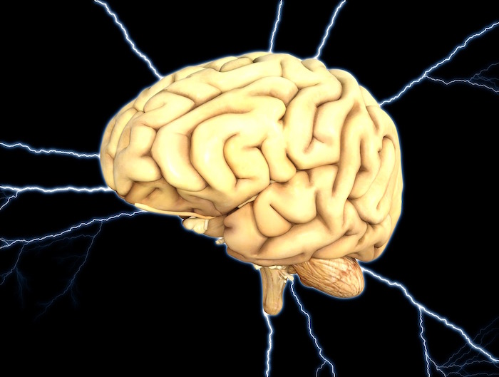 exercises for your brain